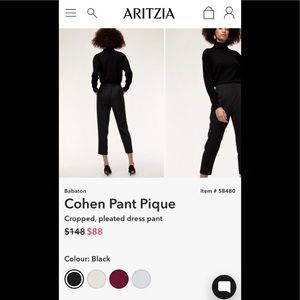 Aritzia Babaton Cohen pants